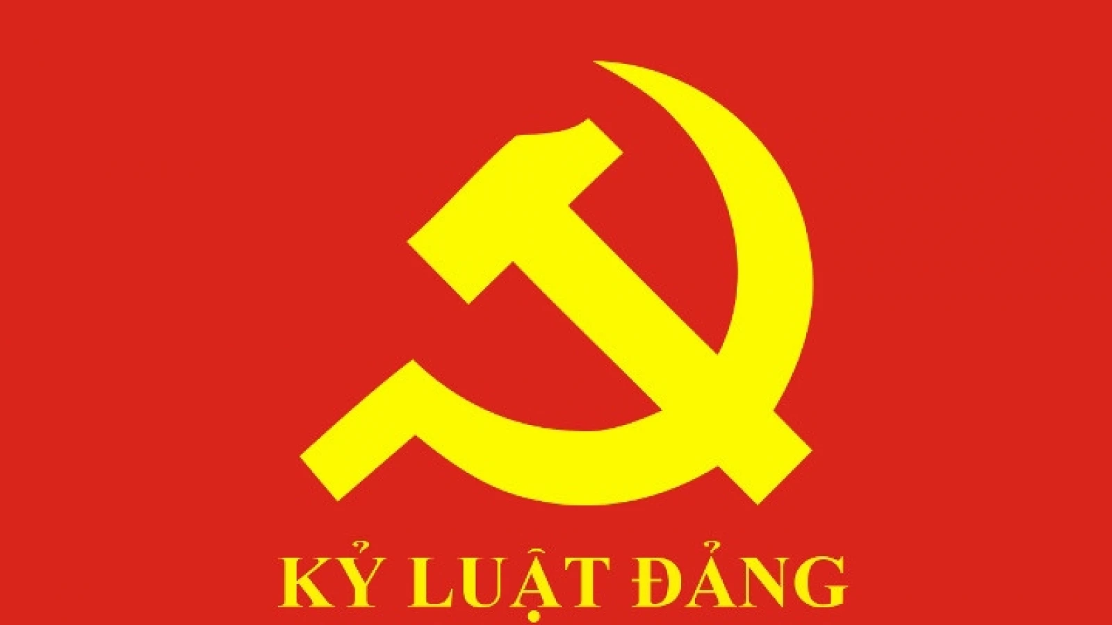 Ban Bí thư xem xét, thi hành kỷ luật đảng viên vi phạm